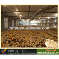 Birdsitter ISO9001 qualifizierte automatische Broiler Rate Hühnerhaus Design